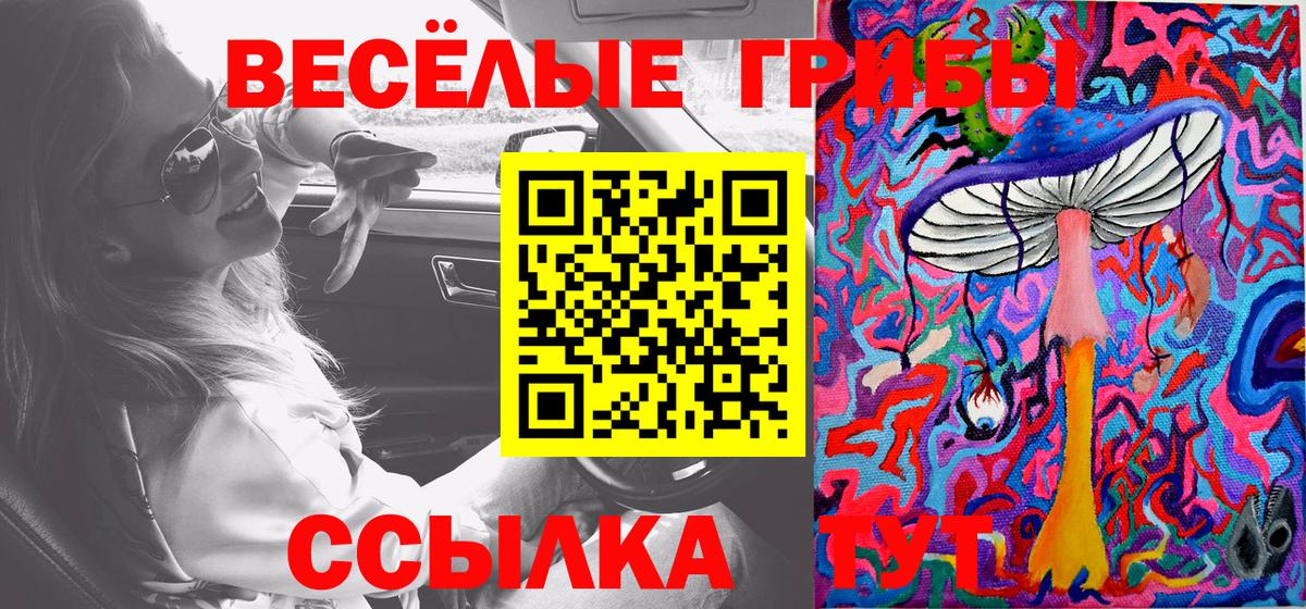 Галлюциногенные грибы мухоморы Волжский